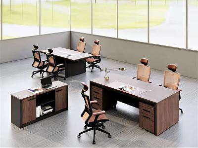 Modern Office Desk Workspace With Ergonomic Chairs Computer File Cabinet And Natural Light 3d model