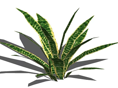 Bonsai Potted Plant With Green And Yellow Striped Leaves For Indoor Decoration 3d model