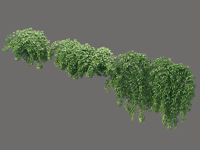 Lush Green Trailing Vines With Cascading Foliage For Natural Garden Decor 3d model