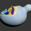 Detailed Organ Internal Structure With Yellow Hair like Fibers And Blue Purple Components