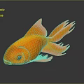 Orange Goldfish With Large Tail Fins On Black Background Showing Reflection 3d model