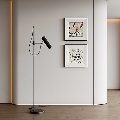 Framed Abstract Paintings Hanging On Wall In Modern Interior With Black Floor Lamp 3d model