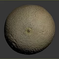 Fresh Ripe Juicy Honeydew Melon With Smooth Textured Greenish Brown Skin On Dark Background