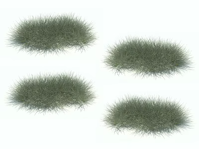 Four Lush Green Grass Clumps on White Background with Natural Texture 3d model