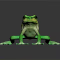 Vibrant Green Frog With Large Eyes And Webbed Toes On Black Background