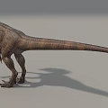 Realistic Standing Reptile Dinosaur With Brown Skin Long Tail And Sharp Claws