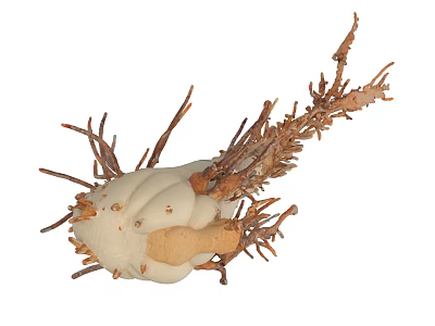 Detailed Natural Organic Structure With White Bulbous Body And Brown Twiggy Branches 3d model