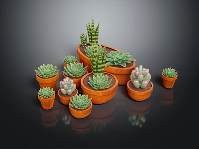 Various Succulent Plants in Terracotta Pots with Green Leaves and Pink Flowers 3d model