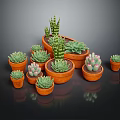 Various Succulent Plants in Terracotta Pots with Green Leaves and Pink Flowers