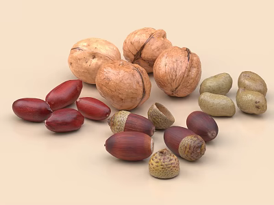 Assorted Nuts As Healthy Food Snack With Walnuts Chestnuts Hazelnuts And Acorns 3d model