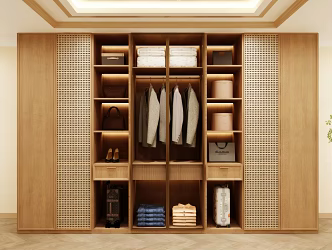 Wardrobe Design Wardrobe Effect Diagram Wardrobe Coat Cabinet Design Coat Cabinet 3d model
