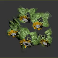 Bright Yellow Sunflowers With Green Stems And Leaves On Gray Background