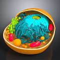Detailed Organ And Hair Microscopic Structure With 3D Cellular Components And Features