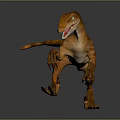 Realistic Orange Brown Velociraptor 3D Model in Standing Pose with Gray Background 3d model