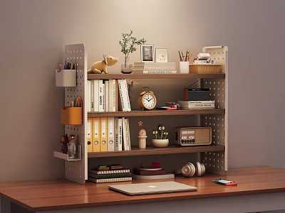Functional Home Office Shelf Organizing Books Folders Clock Radio And Plants 3d model