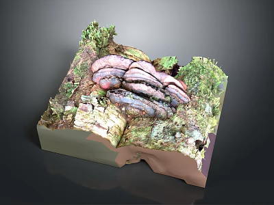 Wood and Stone Natural Textured Surface with Lush Moss in Detailed 3D Model 3d model