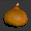 Orange Round Pumpkin With Smooth Texture On Black Reflective Background