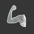 Detailed Muscular Human Arm Sculpture With Flexed Bicep And Gray Finish