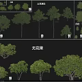 Various Arbor Species Including Root Ball Trees Osmanthus And Fig Tree Varieties 3d model