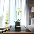 White Sofa Wooden Glass Coffee Table Set With Orchid Plant Floor Lamp Curtains And Green View