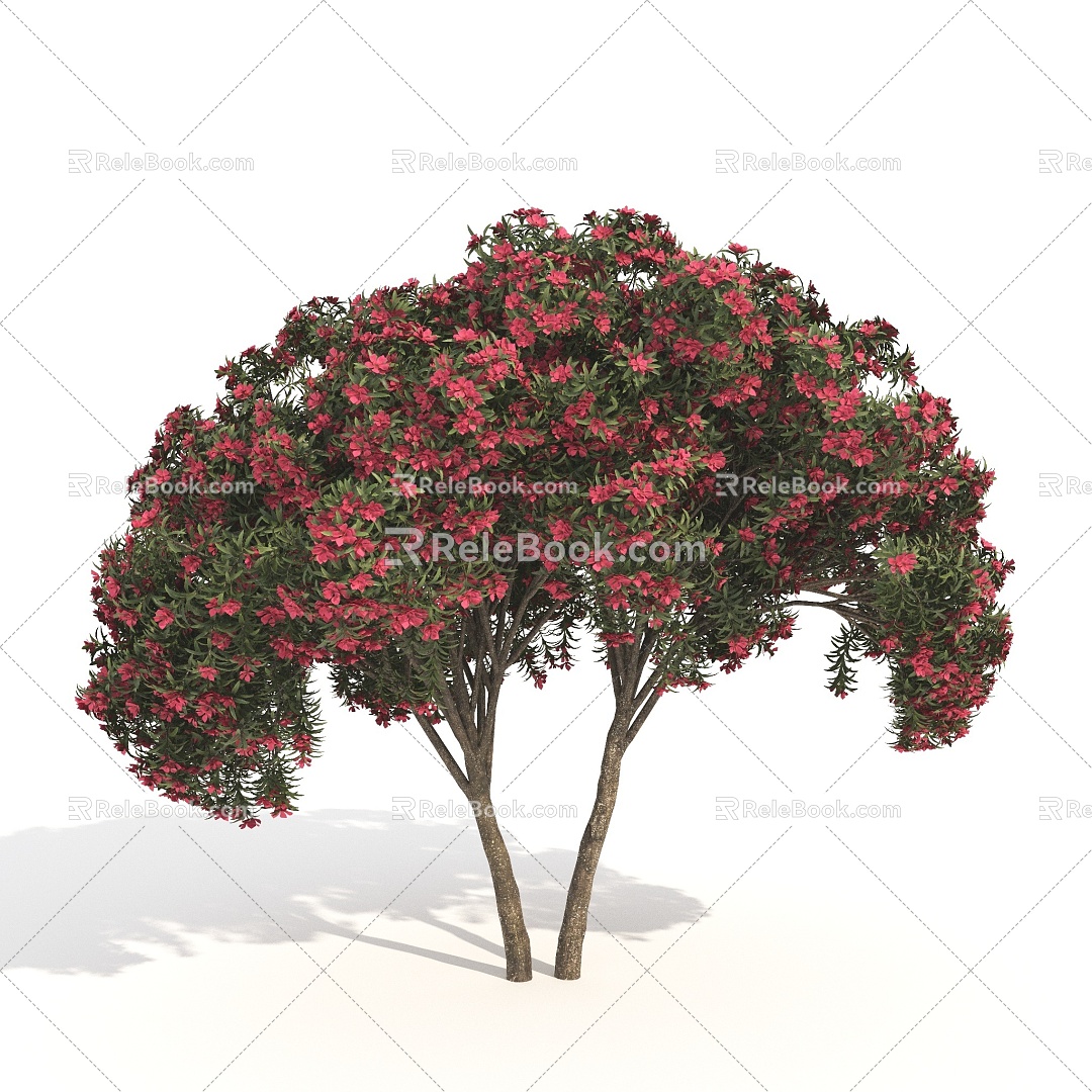 Plant Shrub Dwarf Tree Landscape Flower Tree 3d model