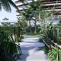 Tropical Garden Landscape With Palm Trees Various Plants Pathway Benches And Plant Shelves