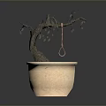 Bonsai Plant With Thin Trunk And Twisted Branches In Beige Octagonal Pot With Red Soil