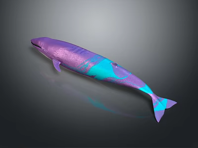 Colorful Purple And Blue Gradient Whale With Shiny Metallic Surface And Smooth Finish 3d model
