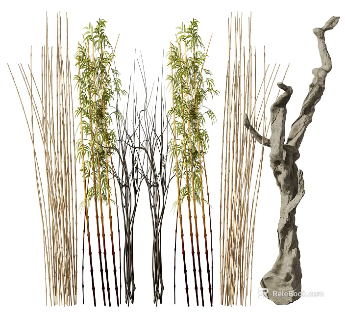 Tall Bamboo Plants With Green Leaves And Slender Stalks In Natural Growth Form 3d model 