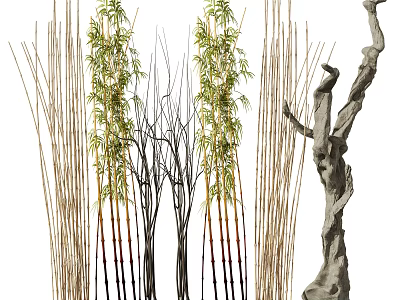 Tall Bamboo Plants With Green Leaves And Slender Stalks In Natural Growth Form 3d model