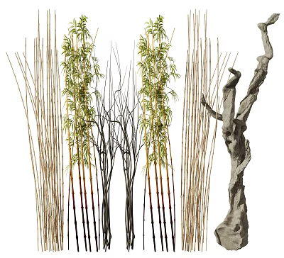 Tall Bamboo Plants With Green Leaves And Slender Stalks In Natural Growth Form 3d model