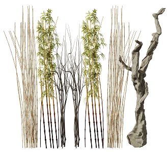 Modern bamboo 3d model