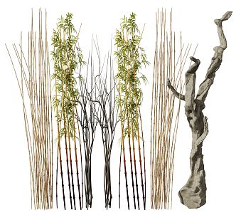 Modern bamboo 3d model