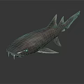 Gray Shark With Sharp Teeth And Dorsal Fin On Dark Reflective Surface