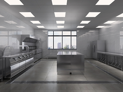 Modern Kitchen Commercial Kitchen 3d model