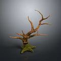 Natural Looking Stump Shaped Decorative Plant With Withered Branches And Green Base