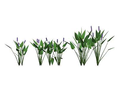Multiple Green Leaf Plants With Purple Flowers In Garden Arrangement 3d model