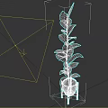 Tall Indoor Potted Plant With Green Leaves On Wooden Stand Decoration