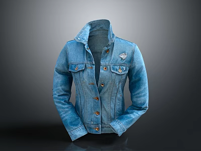 Blue Denim Jacket With Collar Button Pockets And Distressed Design 3d model