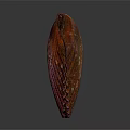 Vibrant Red Brown Marine Scallop Displaying Fan Shaped Shell Textured Surface And Glossy Details