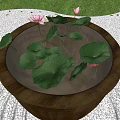 Lotus Flowers And Green Leaves Floating In Stone Basin With Water And Gravel