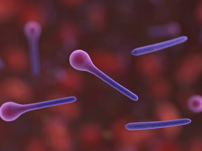 Purple Microorganisms With Rod Shaped And Spherical Structures On Red Background 3d model