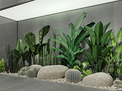 Lush Indoor Plant Arrangement With Green Tropical Leaves Cacti Stones And Grey Wall 3d model