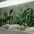 Lush Indoor Plant Arrangement With Green Tropical Leaves Cacti Stones And Grey Wall