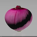 Fresh Red Onion With Vibrant Purple Color Whole Bulb Isolated On Dark Background