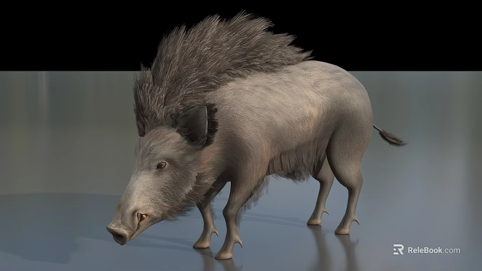 Wild Boar With Shaggy Mane And Gray Fur In Realistic Standing Posture 3d model 