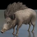 Wild Boar With Shaggy Mane And Gray Fur In Realistic Standing Posture
