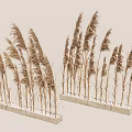 Decorative Dry Reeds in Light Colored Rectangular Planters with White Pebbles and Light Background 3d model