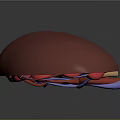 3D Rendered Kidney Anatomical Structure With Red And Blue Blood Vessels Details