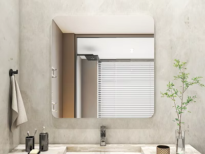 Square Mirror In Modern Bathroom Reflecting Shower Blinds Vanity And Plant 3d model